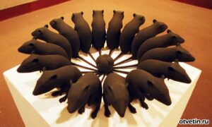Пришло время для появления «крысиного короля»