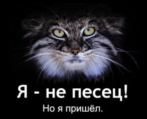 Тихая поступь пушного зверька