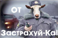«Автострахи» и «тормоза»
