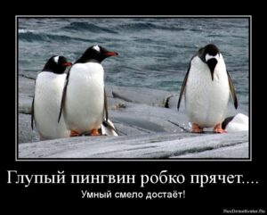 Глупый Ваня тупо ddosит