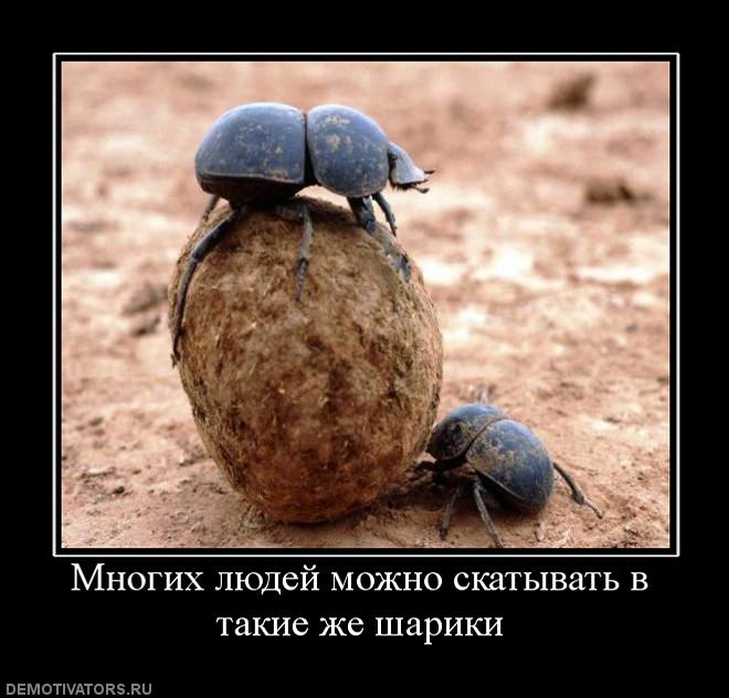 173449 mnogih lyudej mozhno skatyivat v takie zhe shariki