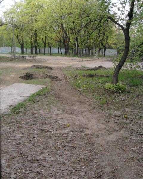 23park