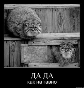 Редкая Кмита