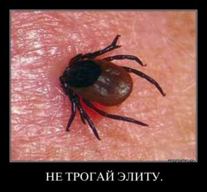 СВОБОДУ НЕ ДАЮТ, А БЕРУТ. В ТОМ ЧИСЛЕ – СВОБОДУ СЛОВА