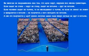 Кое-что о карме донецких или «В мире животных»