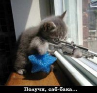 Сдам квартиру убийце в аренду