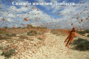 Спасибо!