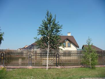 DSC00587