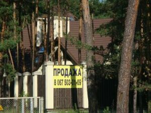 Они воровали Родину-2. Распродажа