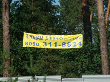 DSC00630