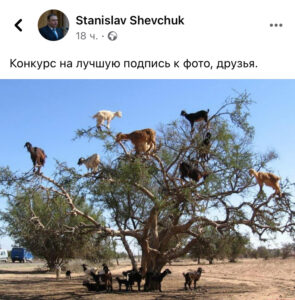 И снова о козлах… отпущения