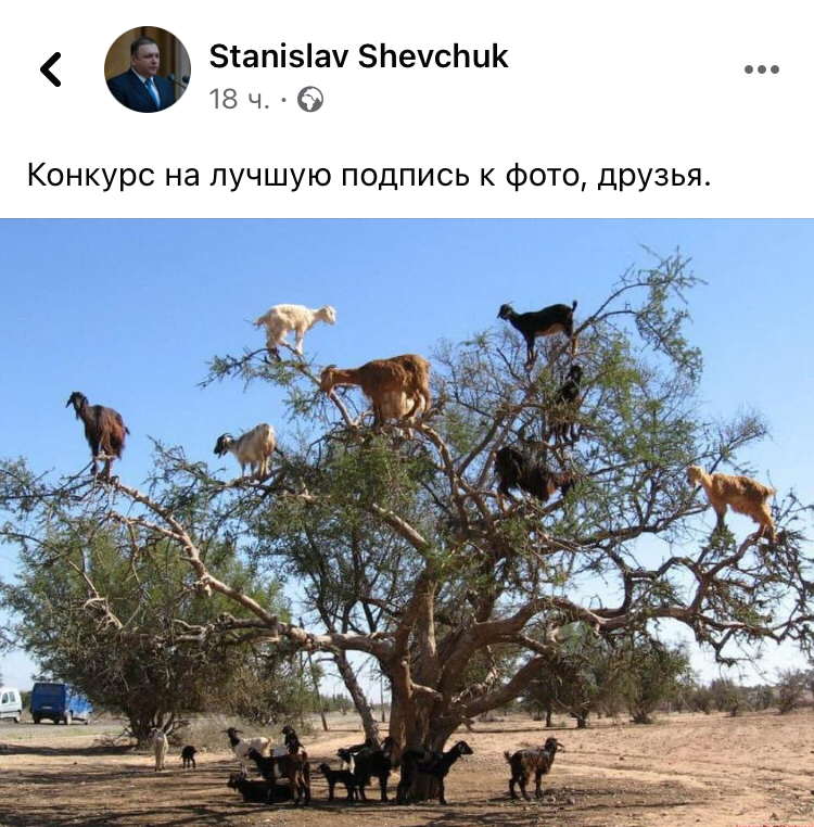 Shevchuk