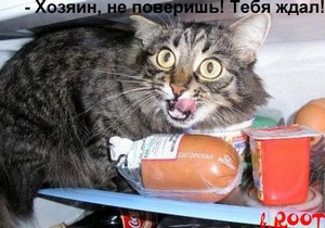 «Мышиный король» финансового рынка-2