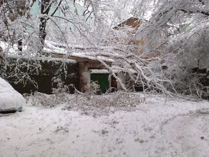 big 291220091701