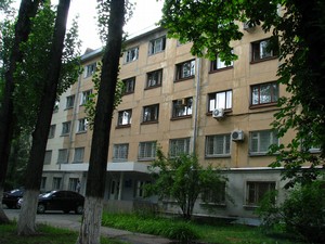 big sdanie