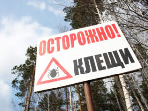 Клещевое поражение