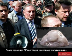 Это тебе не у Шустера умничать…