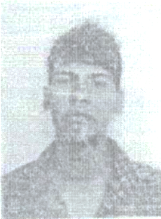 fffotto html m41912161
