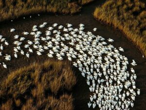 Лучшие фотографии месяца от National Geographic Channel