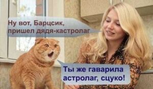 ЗВЕЗДЕЦ, ПРИЕХАЛИ…