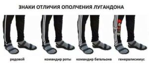 О ДНР и ЛНР