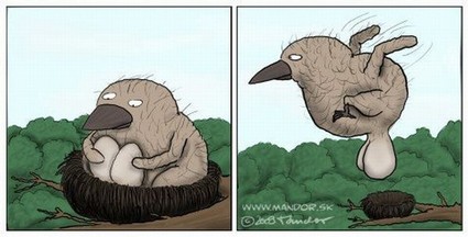 medium grizzbird
