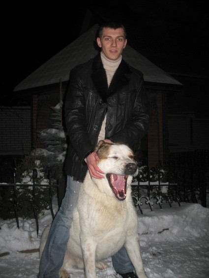 medium maksim golovko