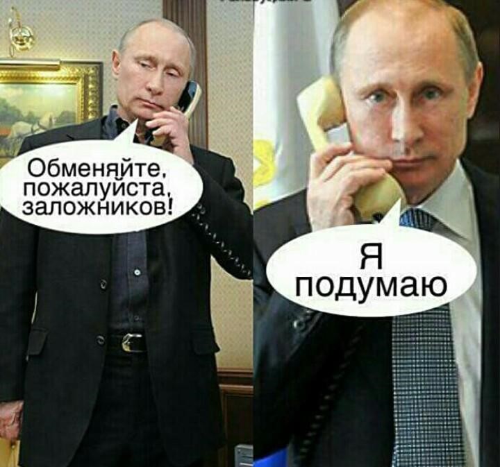 medved2