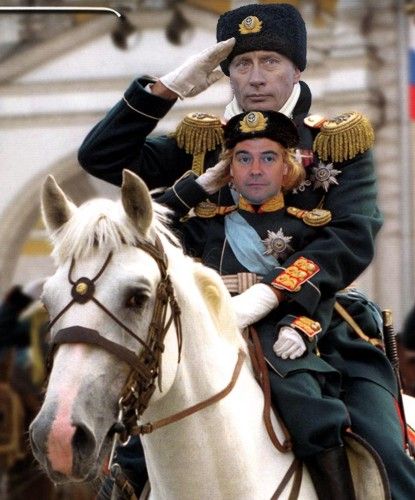 medveputti