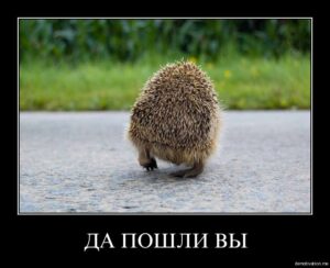 Азаров уходит?