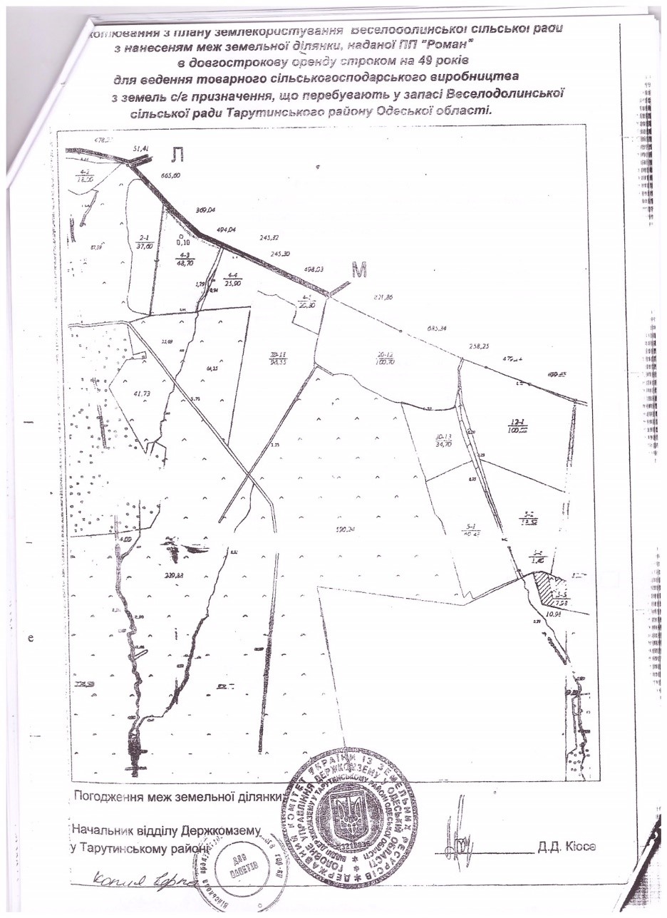 roman7