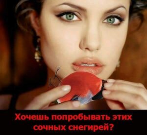 Время есть снегирей