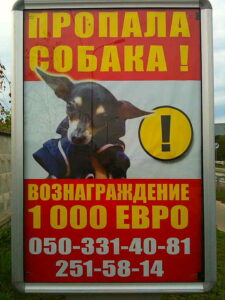 А еще они любят животных…