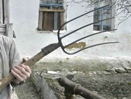 Вила побіля паркану. (Уривки нарисів сучасного українського самозахисту)