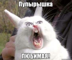 Пупырчастая тень Президента