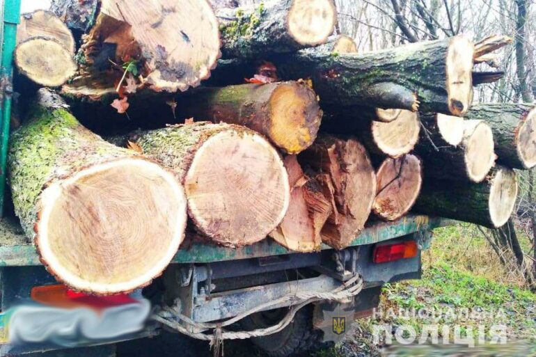 Світловодському дерибану Святки не на заваді?